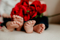 2025VDay Taylor16