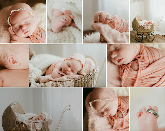 Aesthetic Minimalist Boho Inspiration Moodboard Photo Collage
