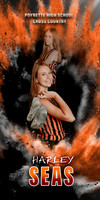 Harley