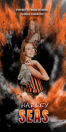 Harley