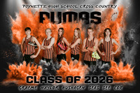 Senior Banners and Poster