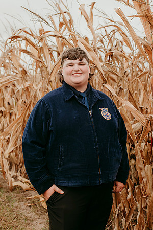 Lodi FFA71