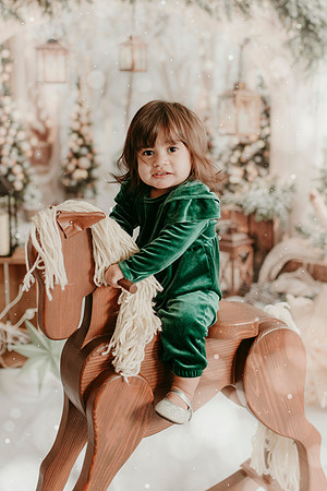 2025 Baganz Xmas65