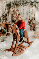 2025 Schmitt Xmas17