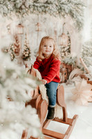 2025 Schmitt Xmas19