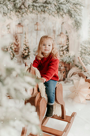 2025 Schmitt Xmas19