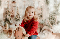 2025 Schmitt Xmas20