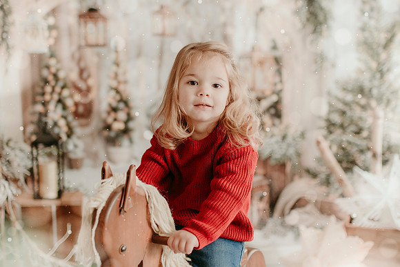 2025 Schmitt Xmas20