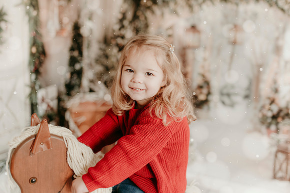 2025 Schmitt Xmas22