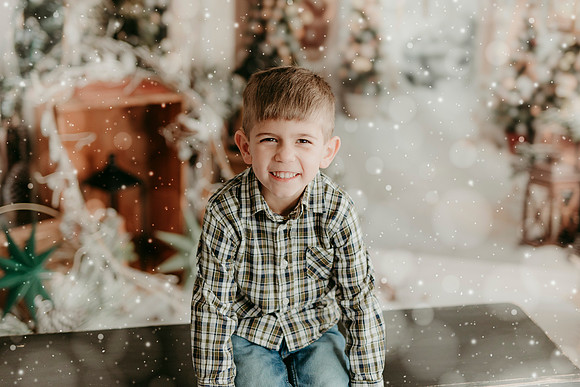 2025 Stieg Xmas50