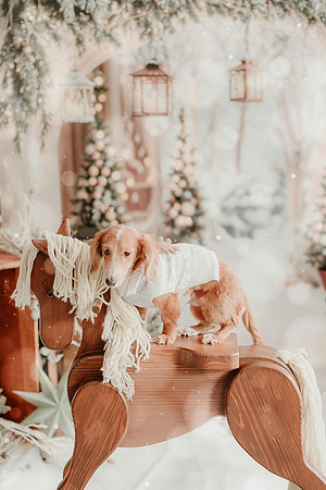 Tank Xmas 202542