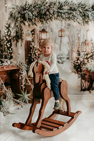 SchmidtXmas 202513