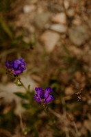 Colorado12