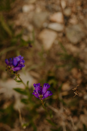 Colorado12