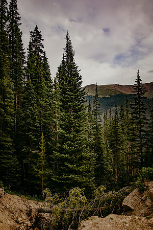 Colorado9