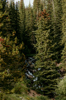 Colorado15