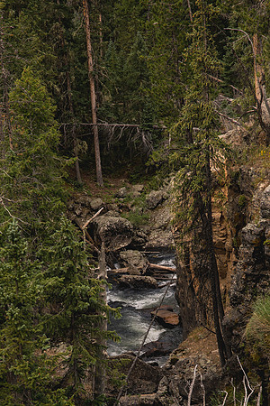 Colorado141