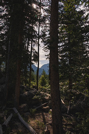 Colorado159