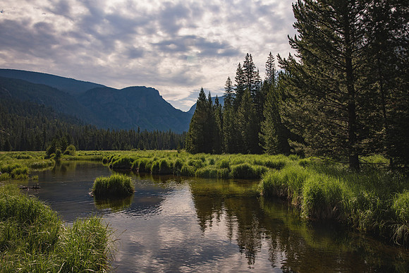 Colorado163