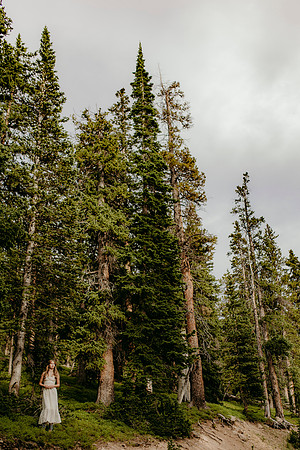 Colorado55