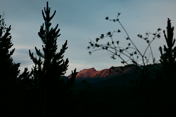 Colorado135