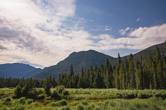 Colorado166