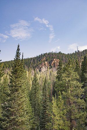 Colorado169