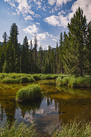 Colorado173