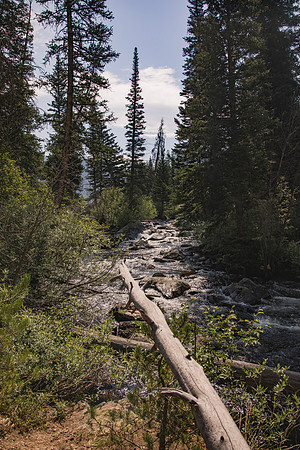 Colorado174
