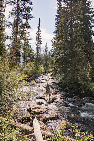 Colorado175
