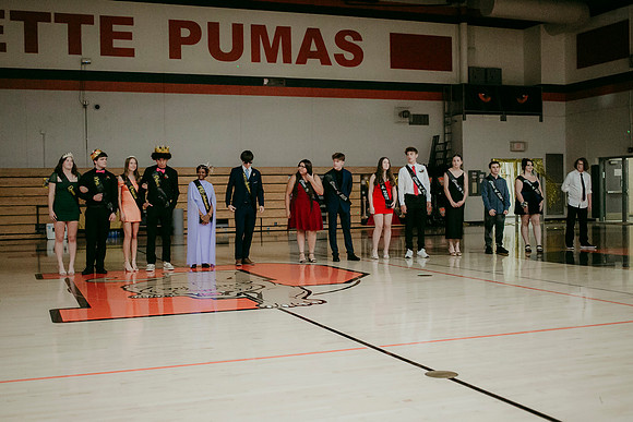HOCO 2564