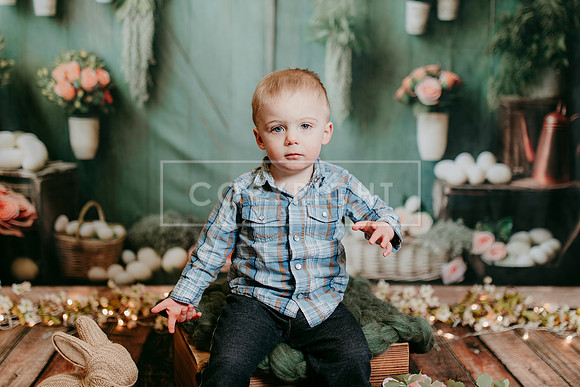 2026 Spring KF79