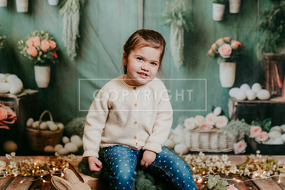 2026 Spring KF217