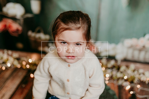 2026 Spring KF219