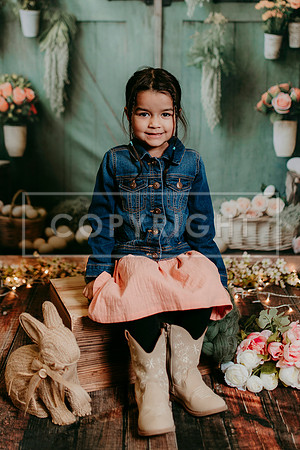 2026 Spring KF237