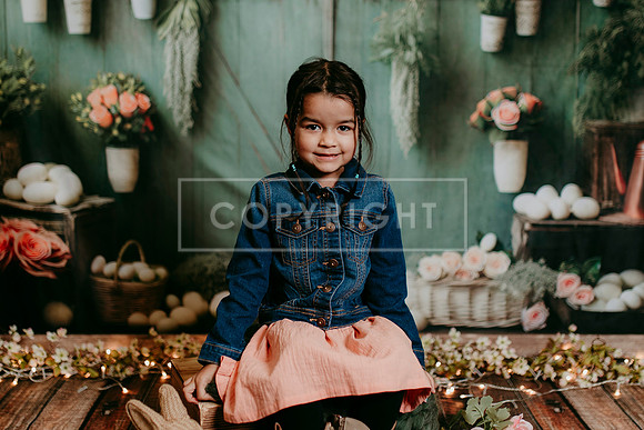 2026 Spring KF238