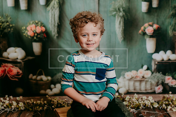 2026 Spring KF245