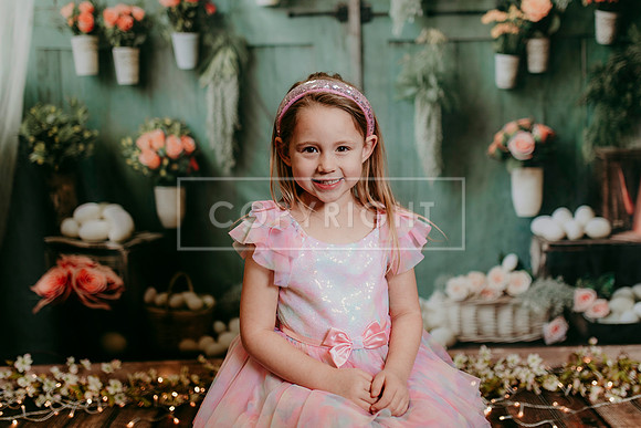 2026 Spring KF247