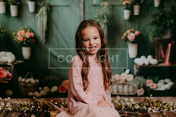 2026 Spring KF277