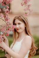Gracie 1514