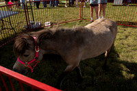 2026 AG Day3