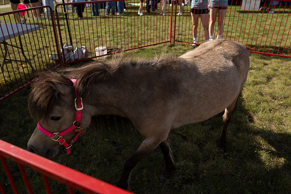 2026 AG Day3