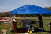 2026 AG Day12