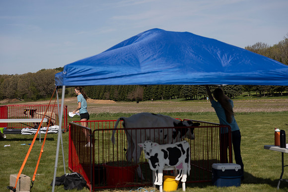 2026 AG Day13