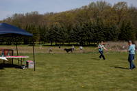 2026 AG Day14
