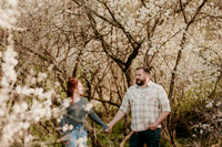 C&B Engagement11