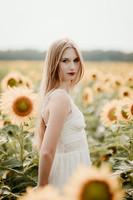 Gracie Sunflowers