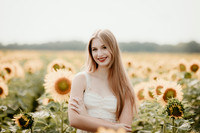 Sunflower4