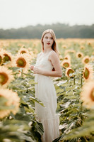 Sunflower11