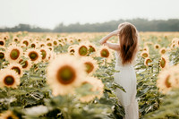 Sunflower9